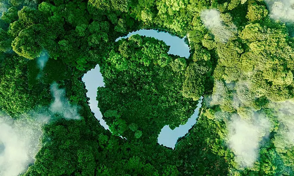 Aerial view of a river meandering through a dense forest