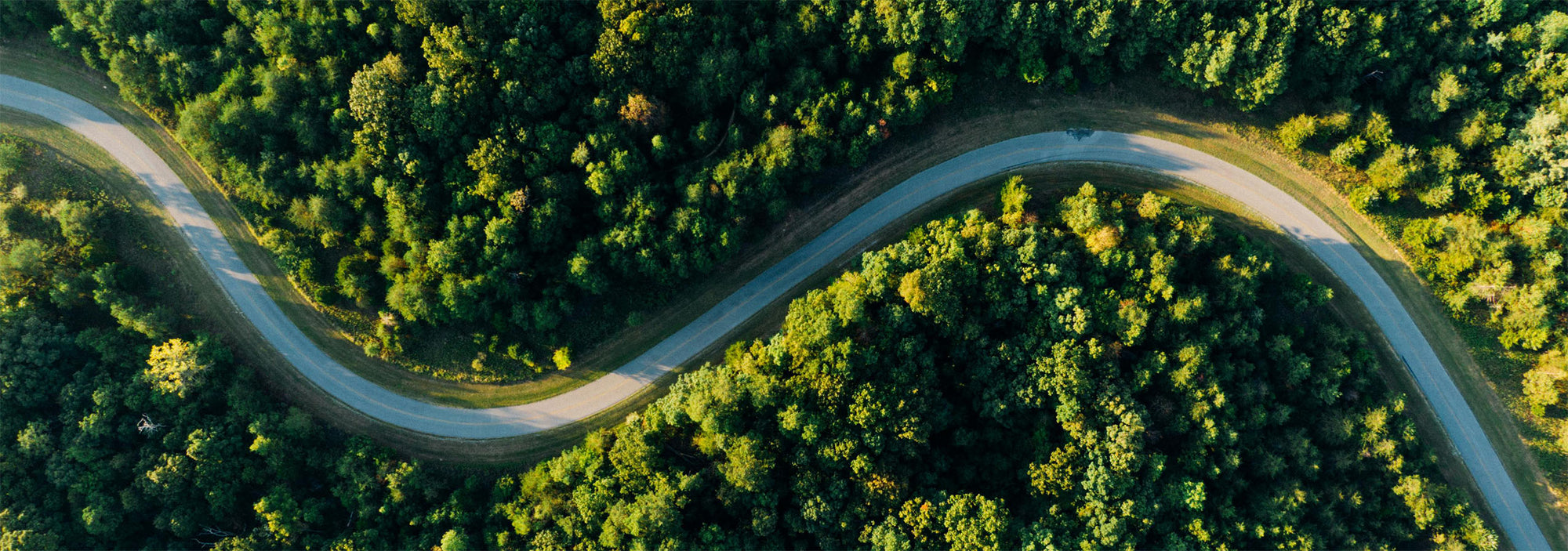 Aerial view of a winding road through a dense forest