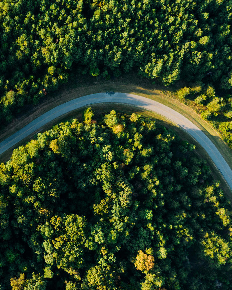 Aerial view of a winding road through a dense forest