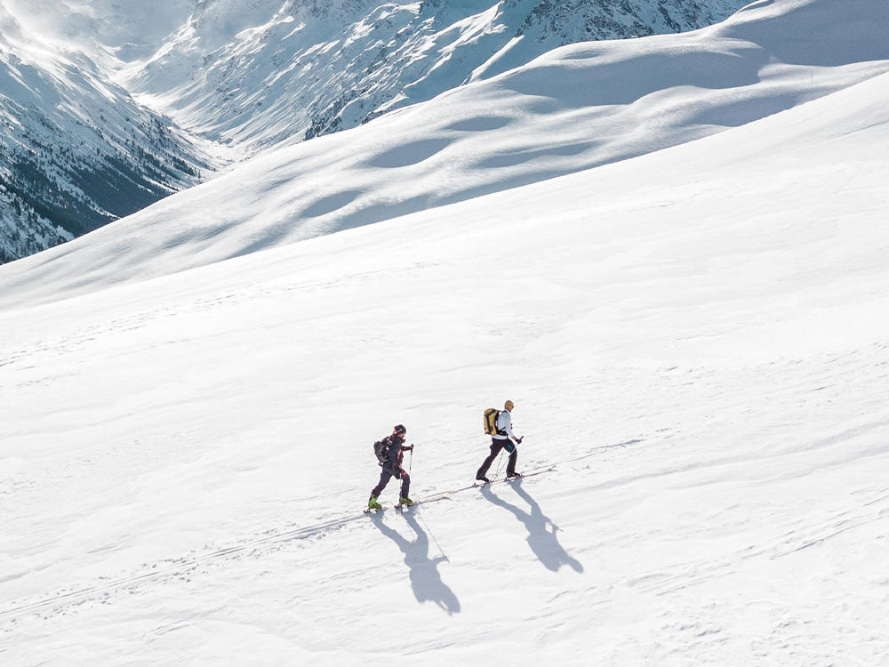 High-Contrast Precision.